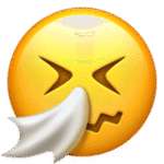Sneezing Face