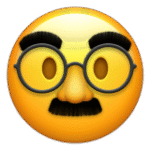 Disguised Face