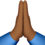 🙏🏻 – Folded Hands (Medium-Dark)