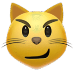 Cat Face with Wry Smile