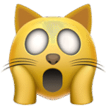 Weary Cat Face