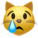 Crying Cat Face