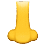 Nose
